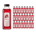 Agave Bloom: Botanical Hibiscus Cold Brew (24-Pack)