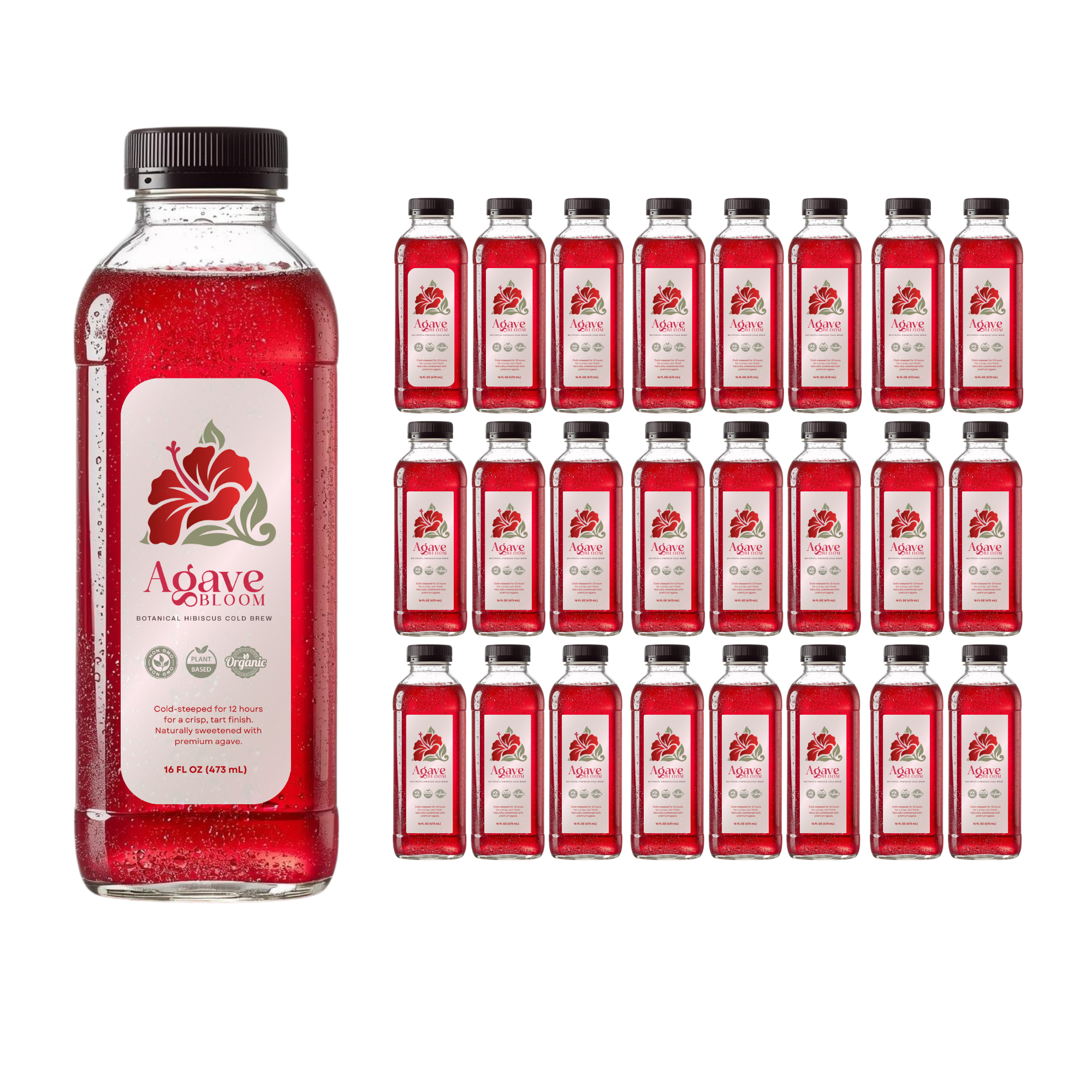 Agave Bloom: Botanical Hibiscus Cold Brew (24-Pack)