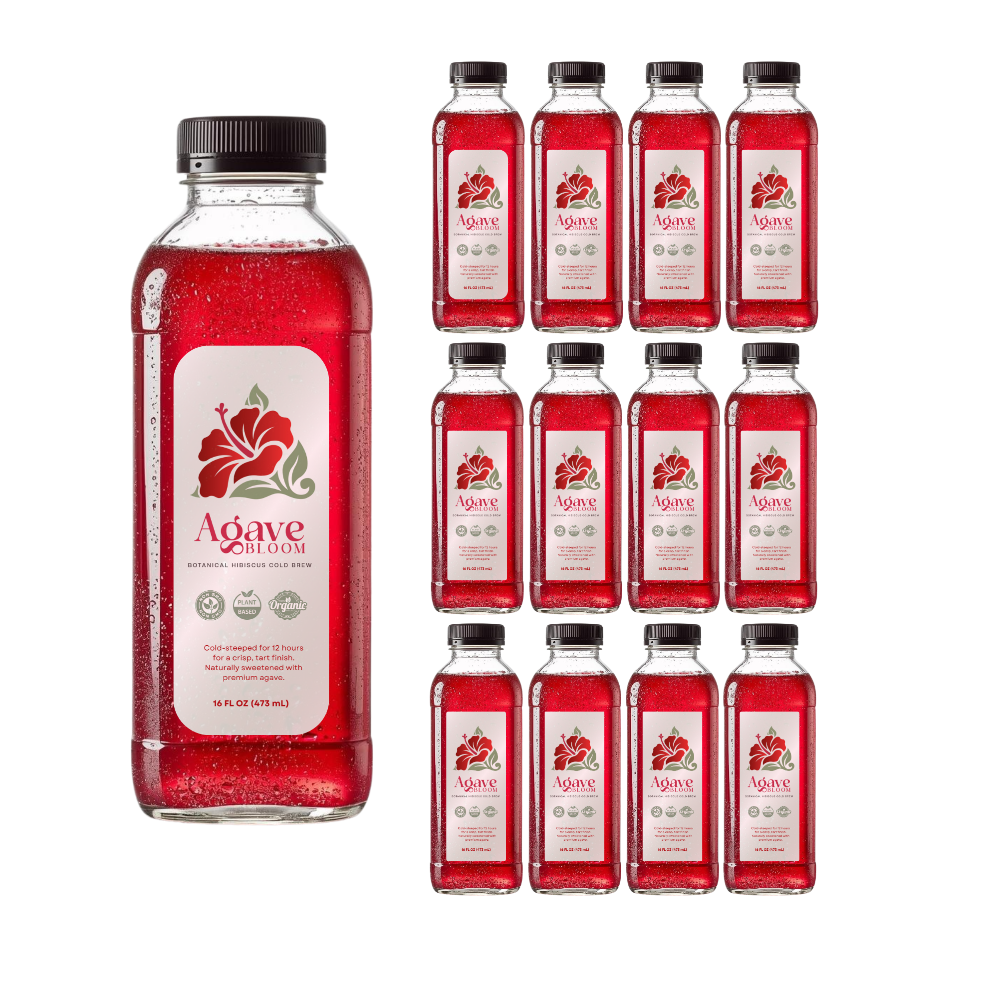 Agave Bloom: Botanical Hibiscus Cold Brew (12-Pack)